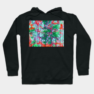 Birch Trees Hoodie